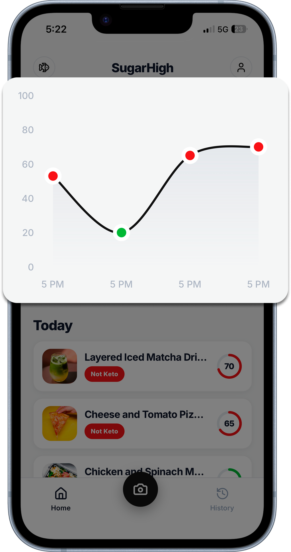 Home dashboard — daily glycemic trend chart and meal history